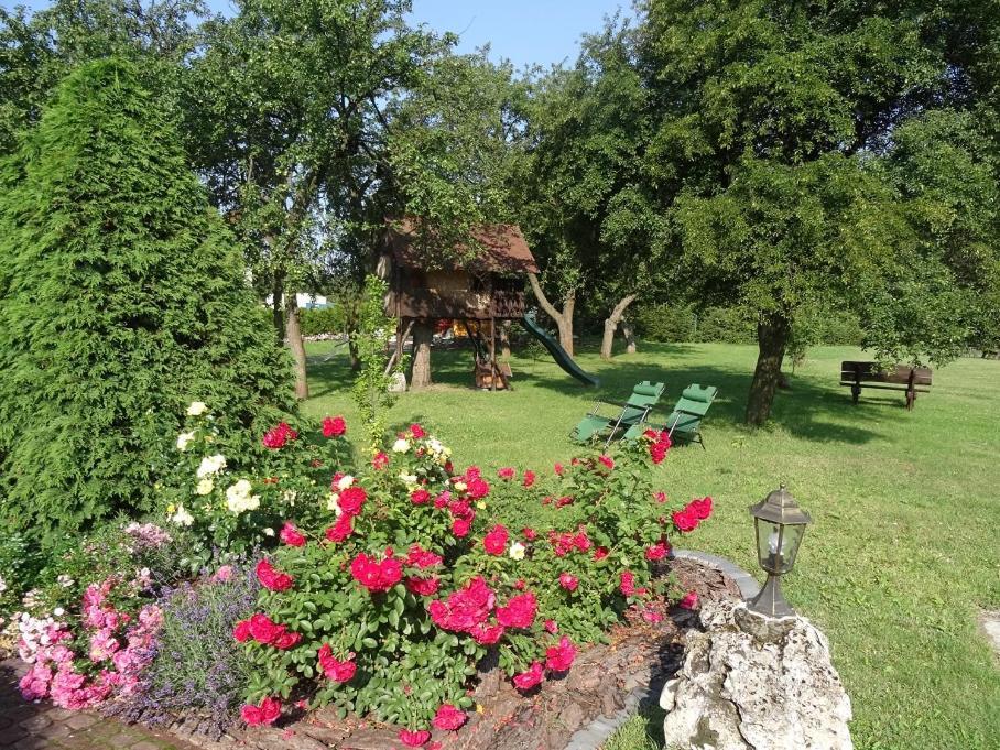 Skalny Apartamenty, Pokoje Ogrodzieniec Exteriör bild
