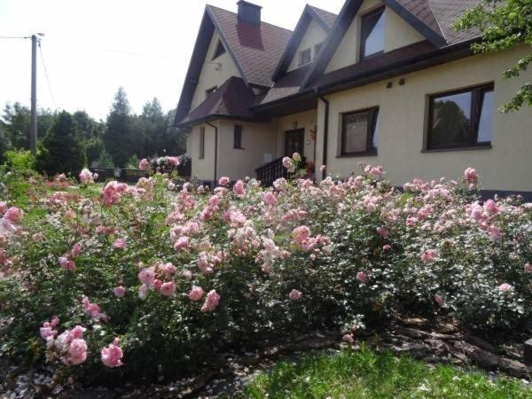 Skalny Apartamenty, Pokoje Ogrodzieniec Exteriör bild