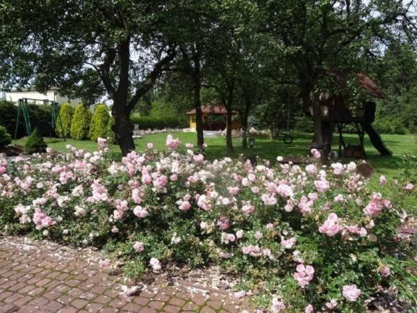 Skalny Apartamenty, Pokoje Ogrodzieniec Exteriör bild