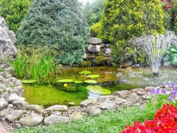 Skalny Apartamenty, Pokoje Ogrodzieniec Exteriör bild