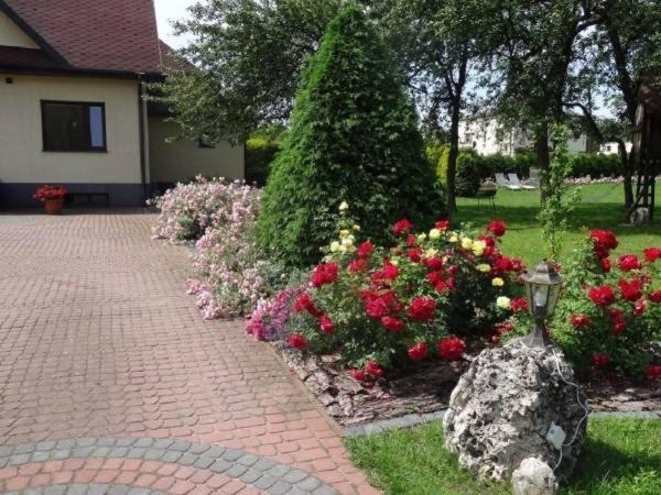 Skalny Apartamenty, Pokoje Ogrodzieniec Exteriör bild